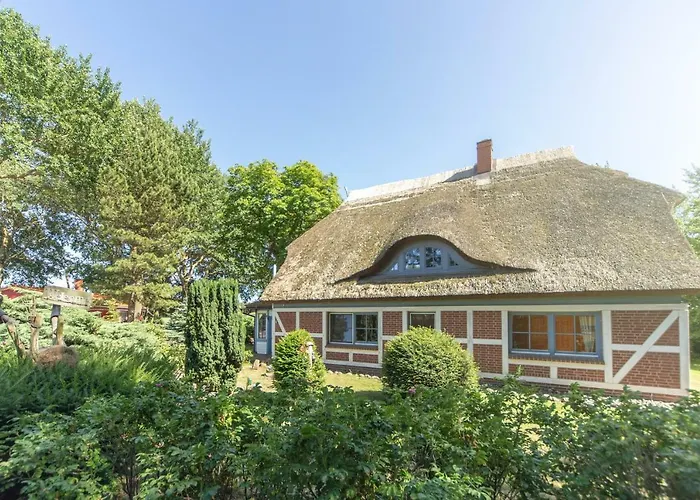 Dom wakacyjny Im Reetdachhaus